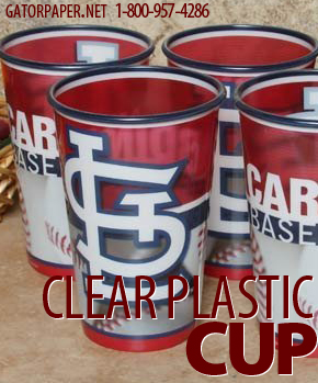 Custom Printed Clear Plastic VS Cups